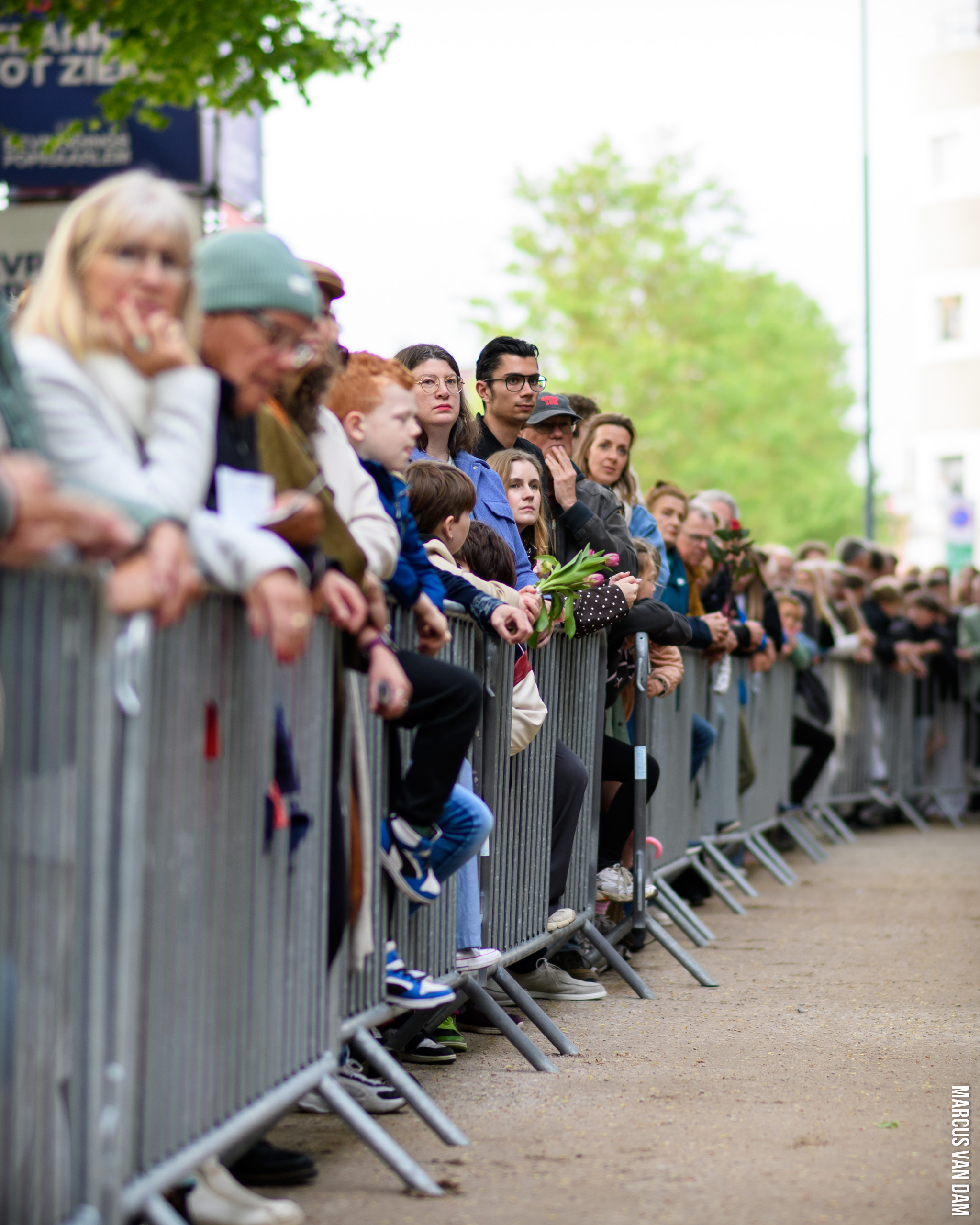 Bevrijdingspop (2026)